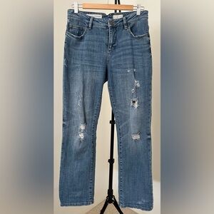 👖Pilcro Distressed Straight Leg Jeans • Casual Cool Anthro Denim (28 Petite)👖
